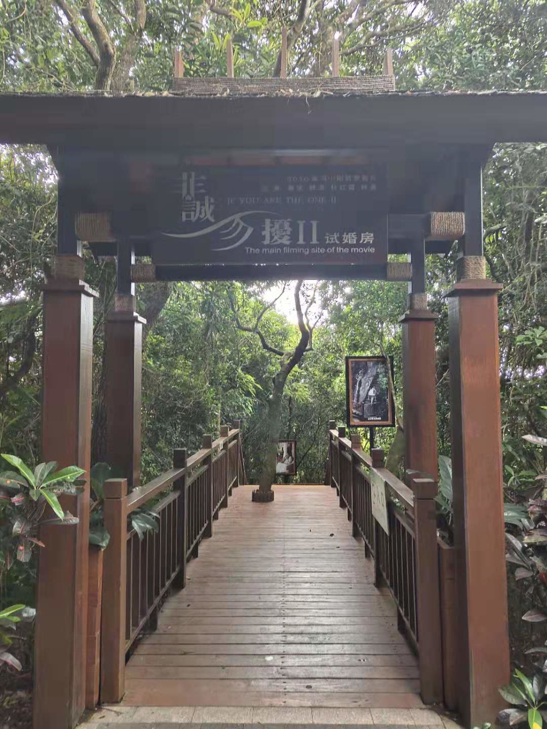 Section image